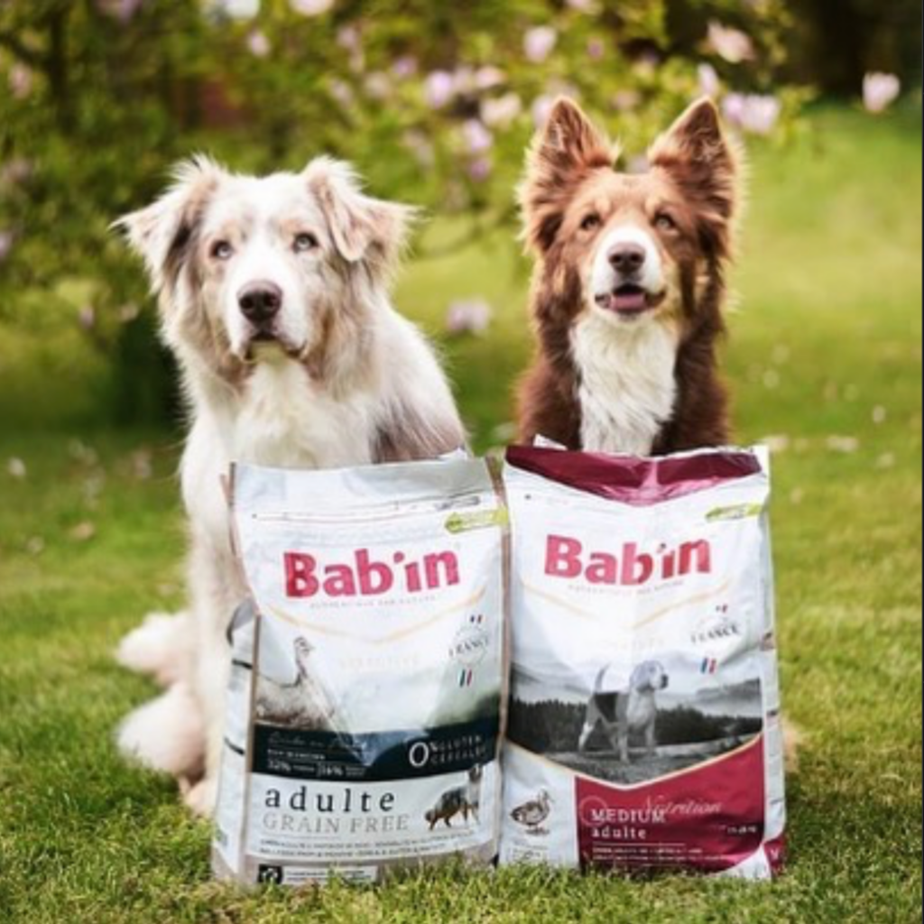 produits Bab’in, fournisseur d’alimentation de haute qualité pour chiens et chats, incluant croquettes, pâtées et friandises, fabriqués en France avec des ingrédients locaux et naturels, garantissant traçabilité et bien-être animal.