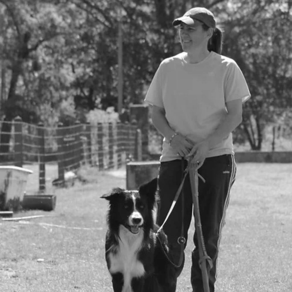 Education Canine Cours personnalisés Cours collectifs Troubles du comportement Conseils en Fleurs de Bach