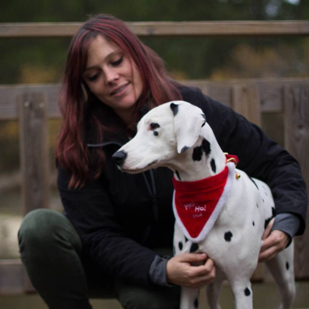 Le domaine des animaux Pessac centre de formation pour éducateurs comportementalistes canin pour l'éducation et le dressage des chiens près de Bordeaux.